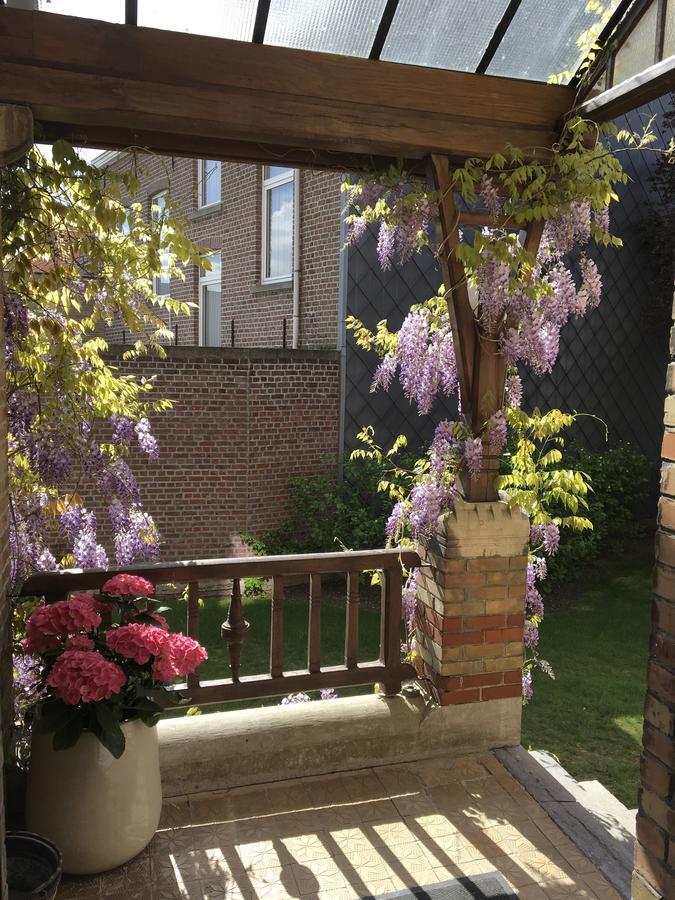 Clementine Bed & Breakfast Kruishoutem ภายนอก รูปภาพ